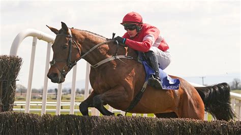 irish grand national 2022 results|Grand National 2022 full results including places and finishers.